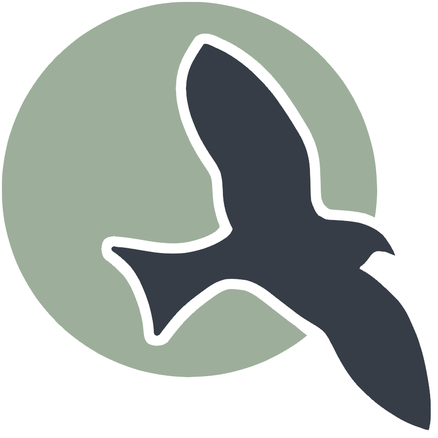 Html basics srinivas nampalli